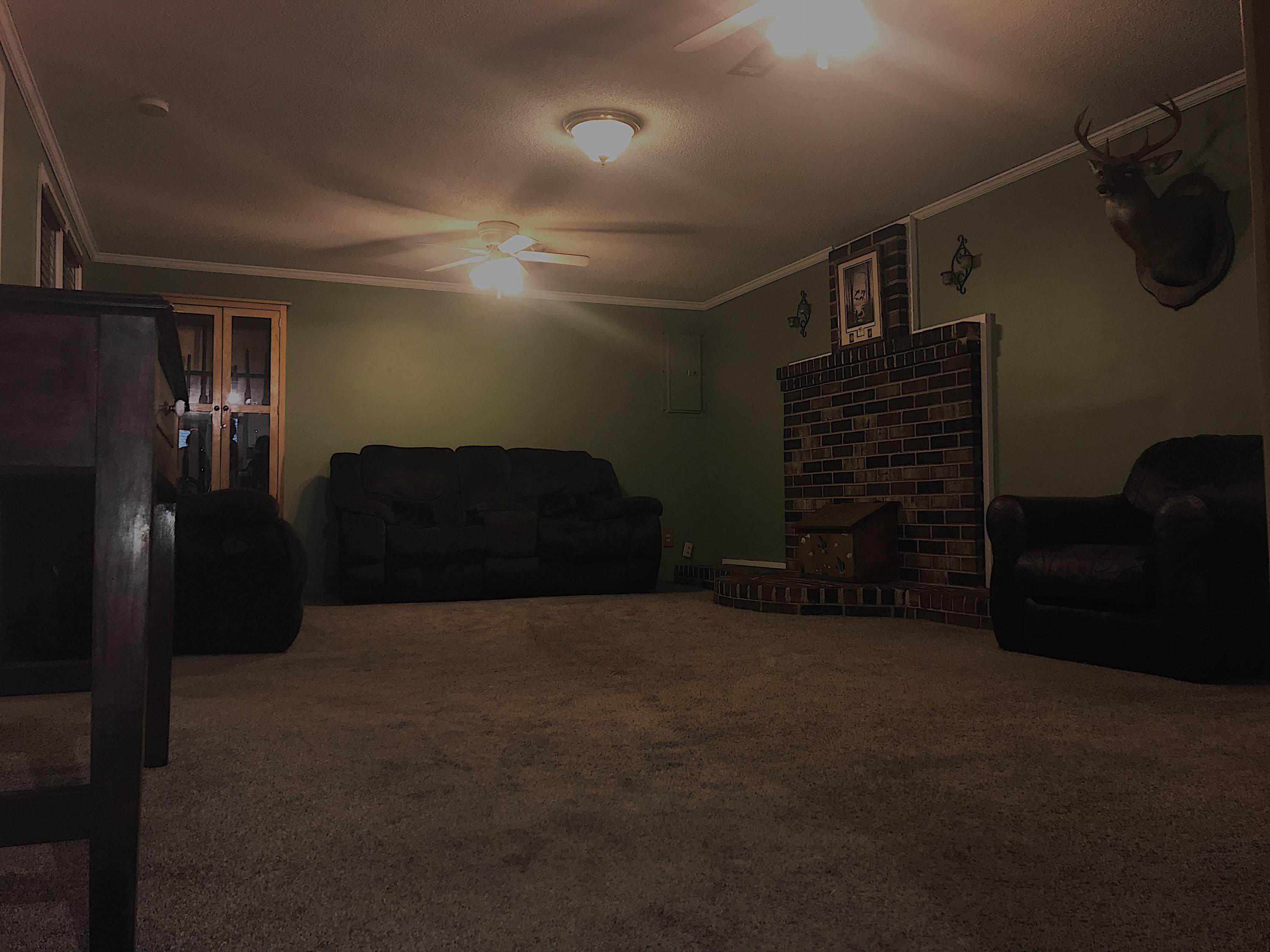 1059 Jones Swamp Road Walterboro, SC 29488 - Photo 8 of 20 house lr