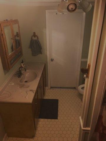 1059 Jones Swamp Road Walterboro, SC 29488 - Photo 9 of 20 house main bath2