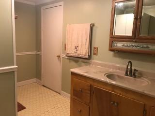 1059 Jones Swamp Road Walterboro, SC 29488 - Photo 10 of 20 house main bath