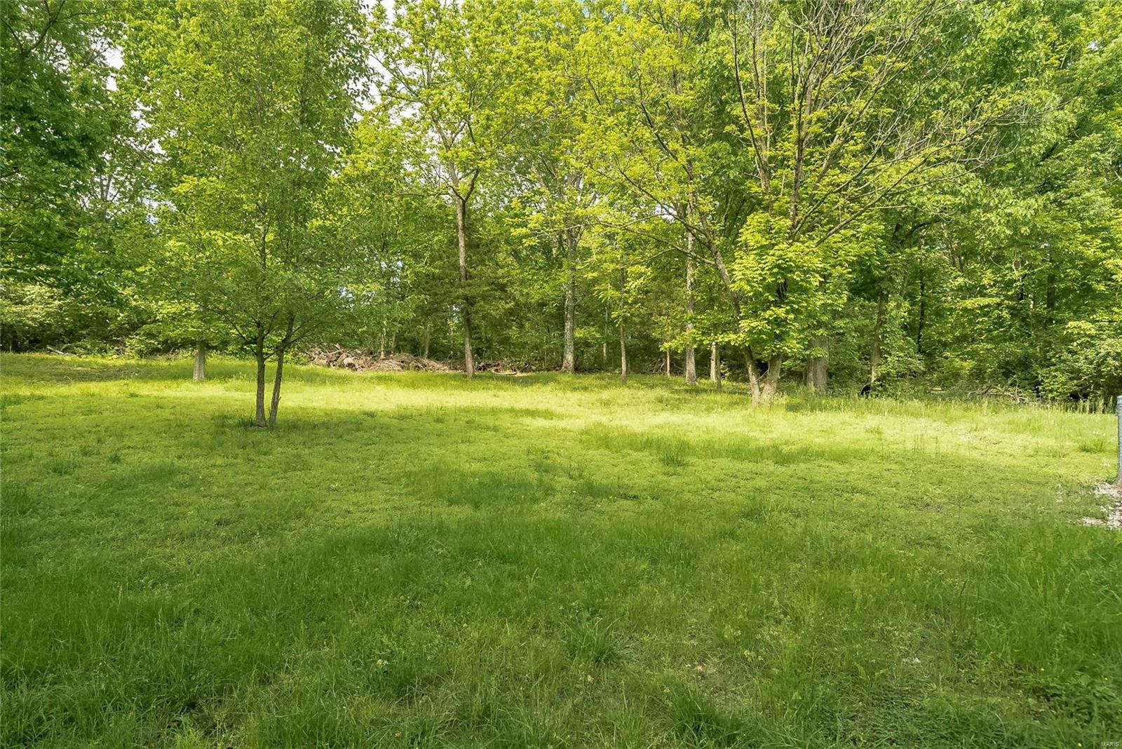 6338 Heintz Road St. Louis, MO 63129 - Photo 35 of 35 Gallery Image 35