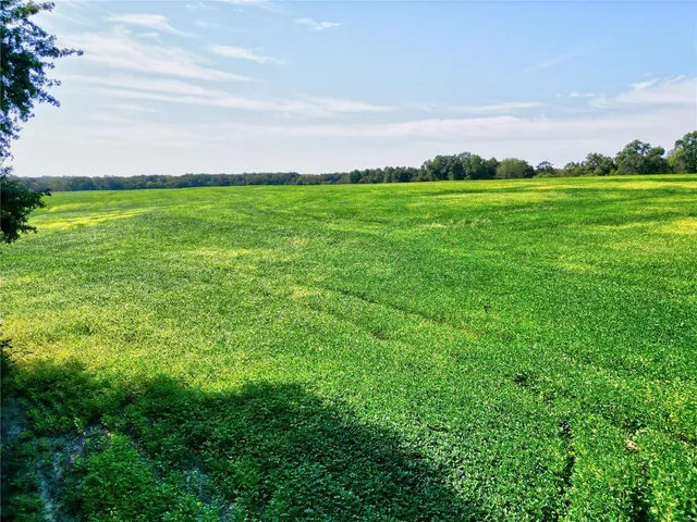 $434,250 | 0 48.25 Ac M/l Pike, Middletown, MO 63359