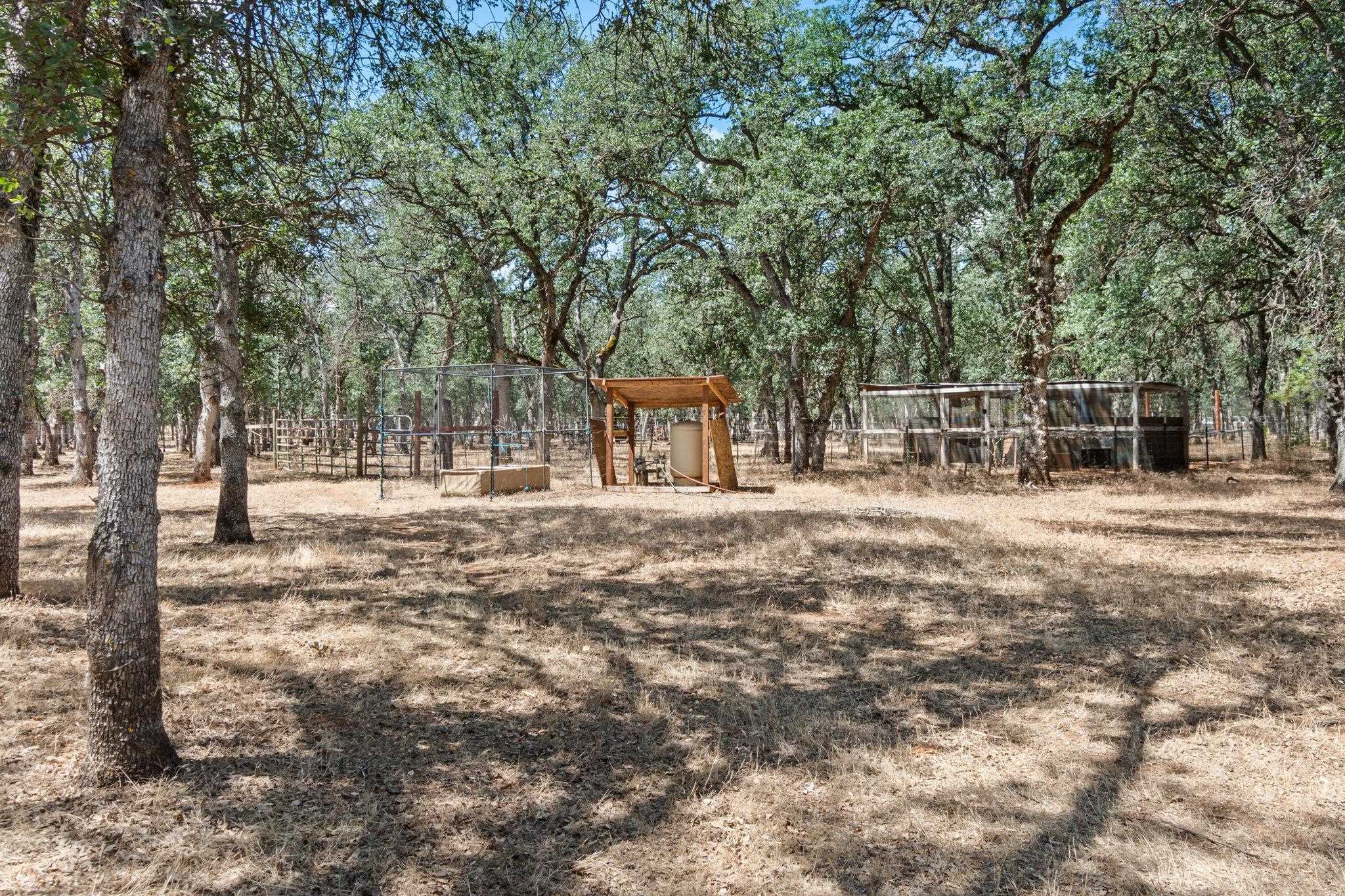 13180 Montecito Road Red Bluff, CA 96080 - Photo 70 of 75