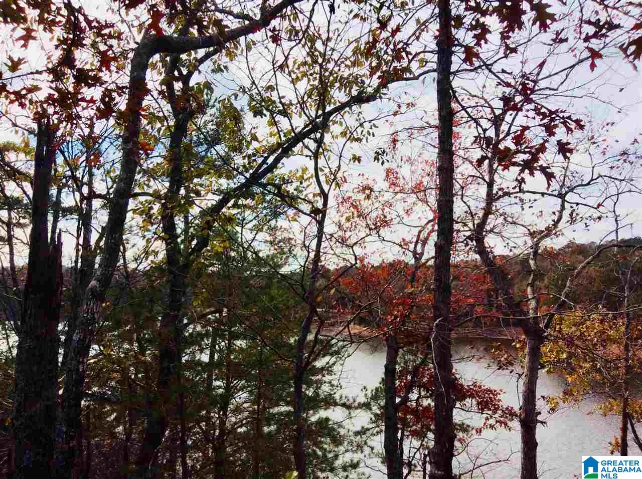 1-1 Acre Pleasure Point Road, Unit 3 Wedowee, AL 36278 - Photo 3 of 5