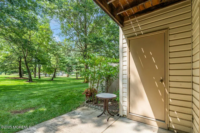a view of backyard with plants and large tree