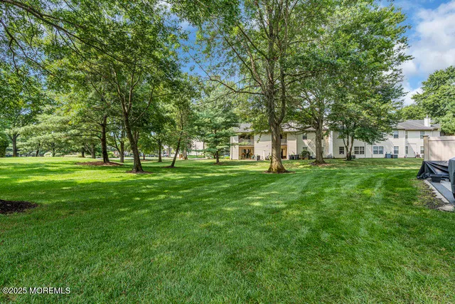 a view of a backyard with large trees