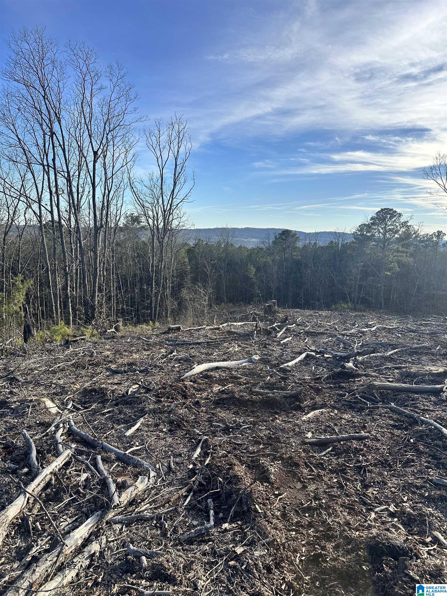 500 Haynes Road Altoona, AL 35952 - Photo 32 of 50