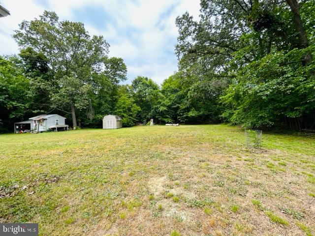 380 McCarty Road Fredericksburg, VA 22405 - Photo 14 of 30 Baaackyard