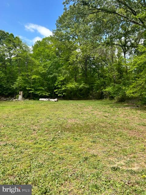 380 McCarty Road Fredericksburg, VA 22405 - Photo 7 of 30 Backtayd