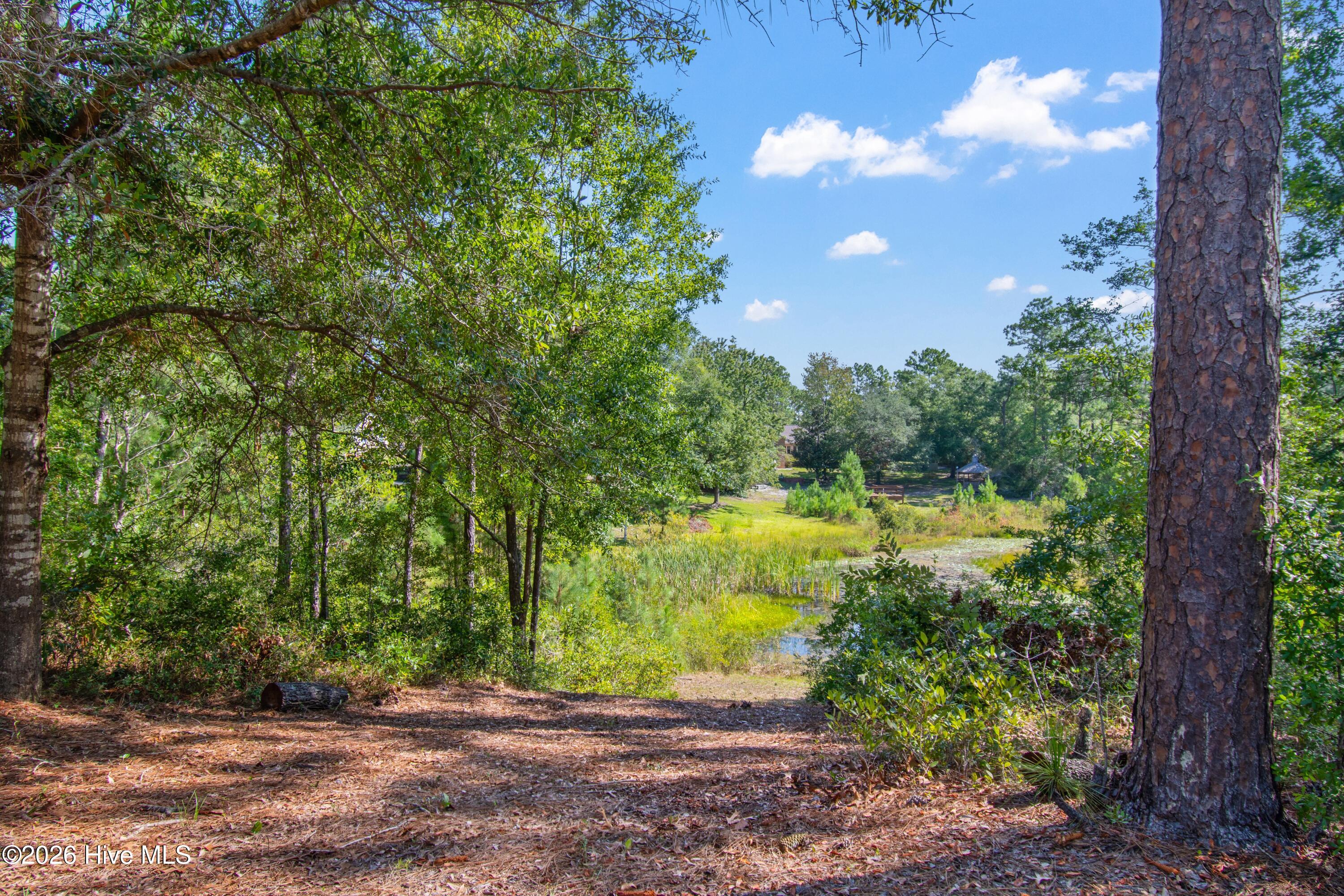 1400 Cottage Road Boiling Spring Lakes, NC 28461 - Photo 44 of 56 Gallery Image 44