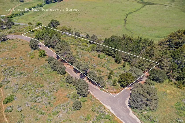 a view of a lake with a beach