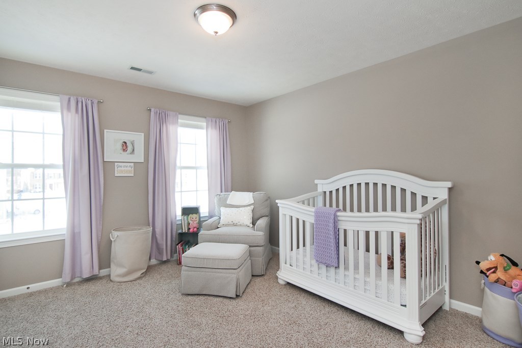 8813 Harvest Ridge Way North Ridgeville, OH 44039 - Photo 28 of 35 Gallery Image 28