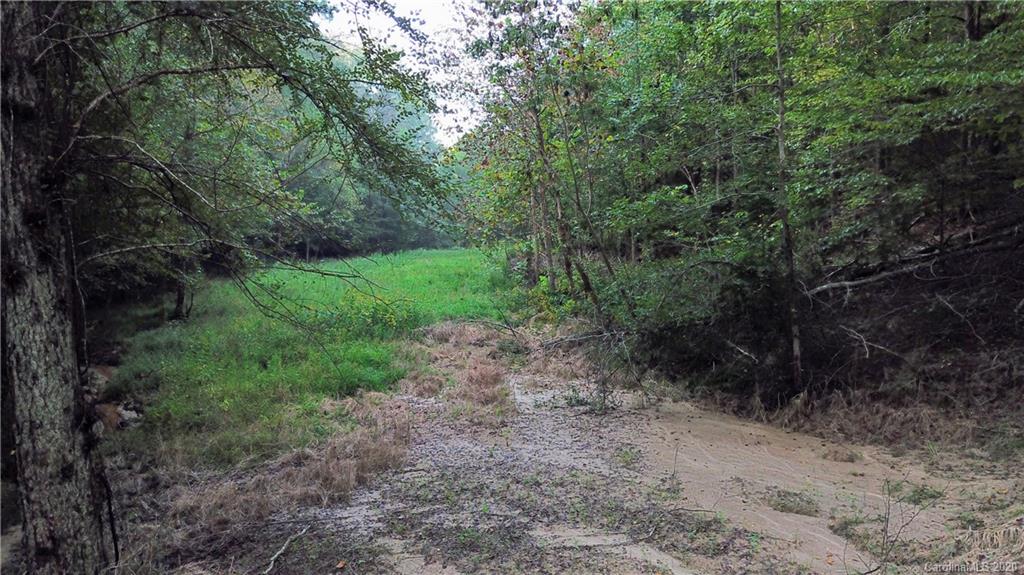 0 Burris Road North Sharon, SC 29742 - Photo 2 of 13