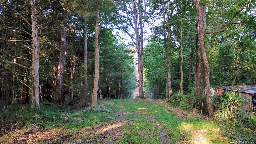 0 Burris Road North Sharon, SC 29742 - Photo 11 of 13