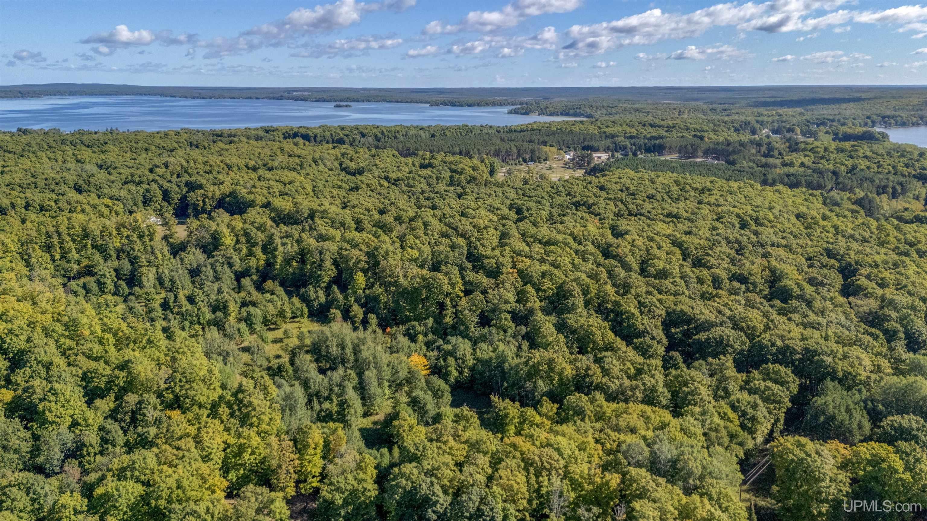 17758 South Curtis Road Germfask, MI 49836 - Photo 46 of 50 Gallery Image 46