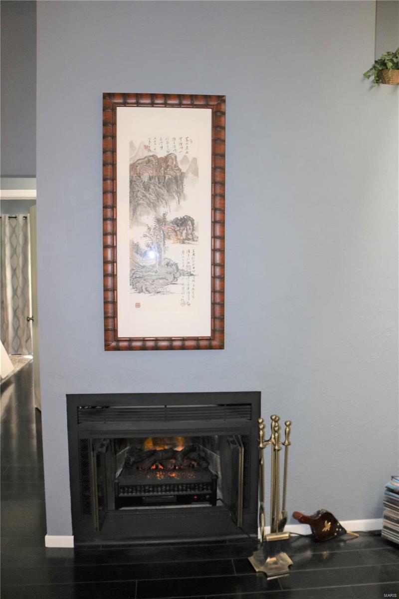 176 Eagle Ridge O'Fallon, IL 62269 - Photo 8 of 23