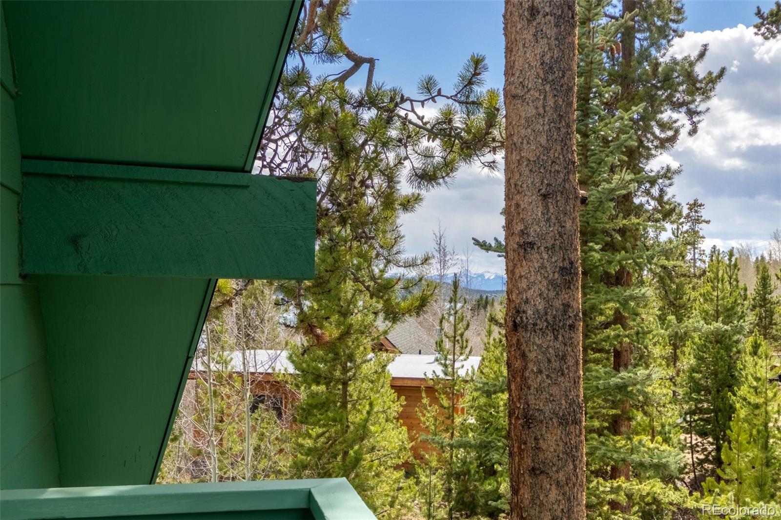 24 Gcr 475 Road Grand Lake, CO 80447 - Photo 38 of 43