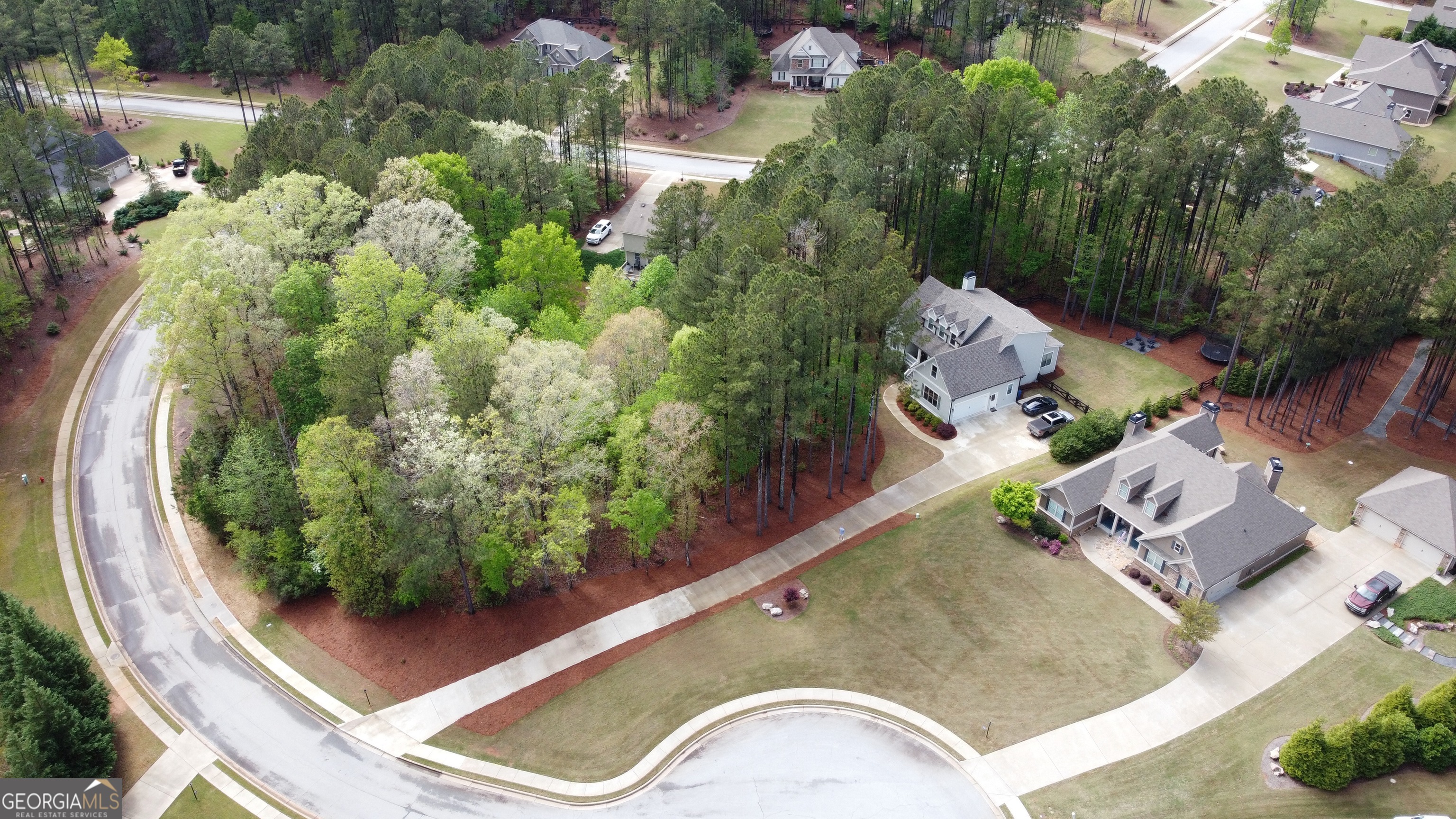 120 Spring Creek Drive Rutledge, GA 30663 - Photo 7 of 12