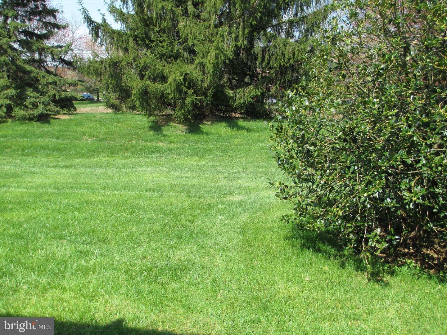 8 Coventry Court Blue Bell, PA 19422 - Photo 7 of 22 View from patio