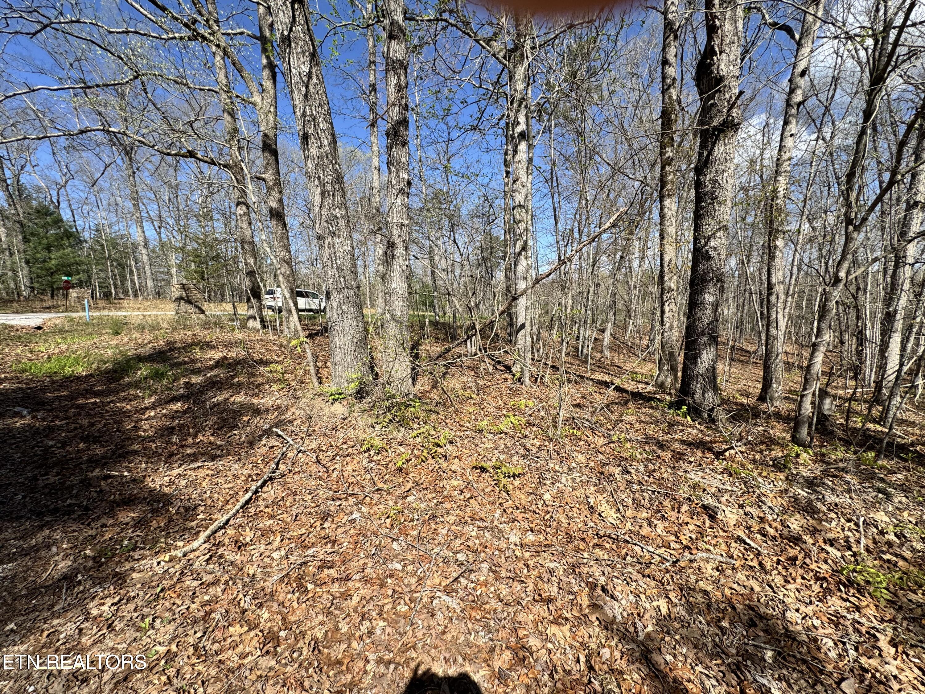 Smith Hall Road Jamestown, TN 38556 - Photo 2 of 7 IMG_3161