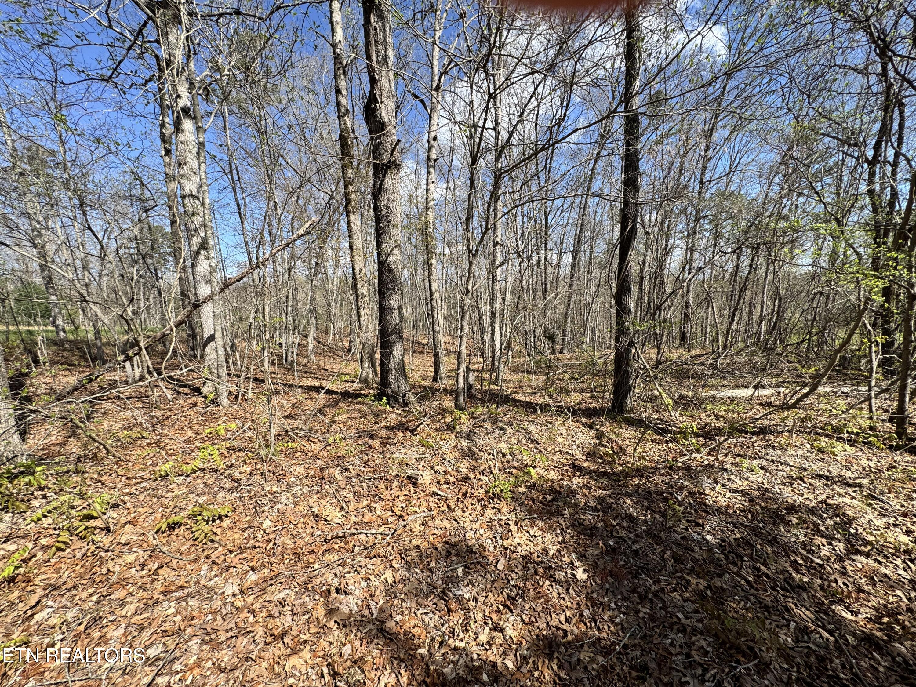 Smith Hall Road Jamestown, TN 38556 - Photo 3 of 7 IMG_3160