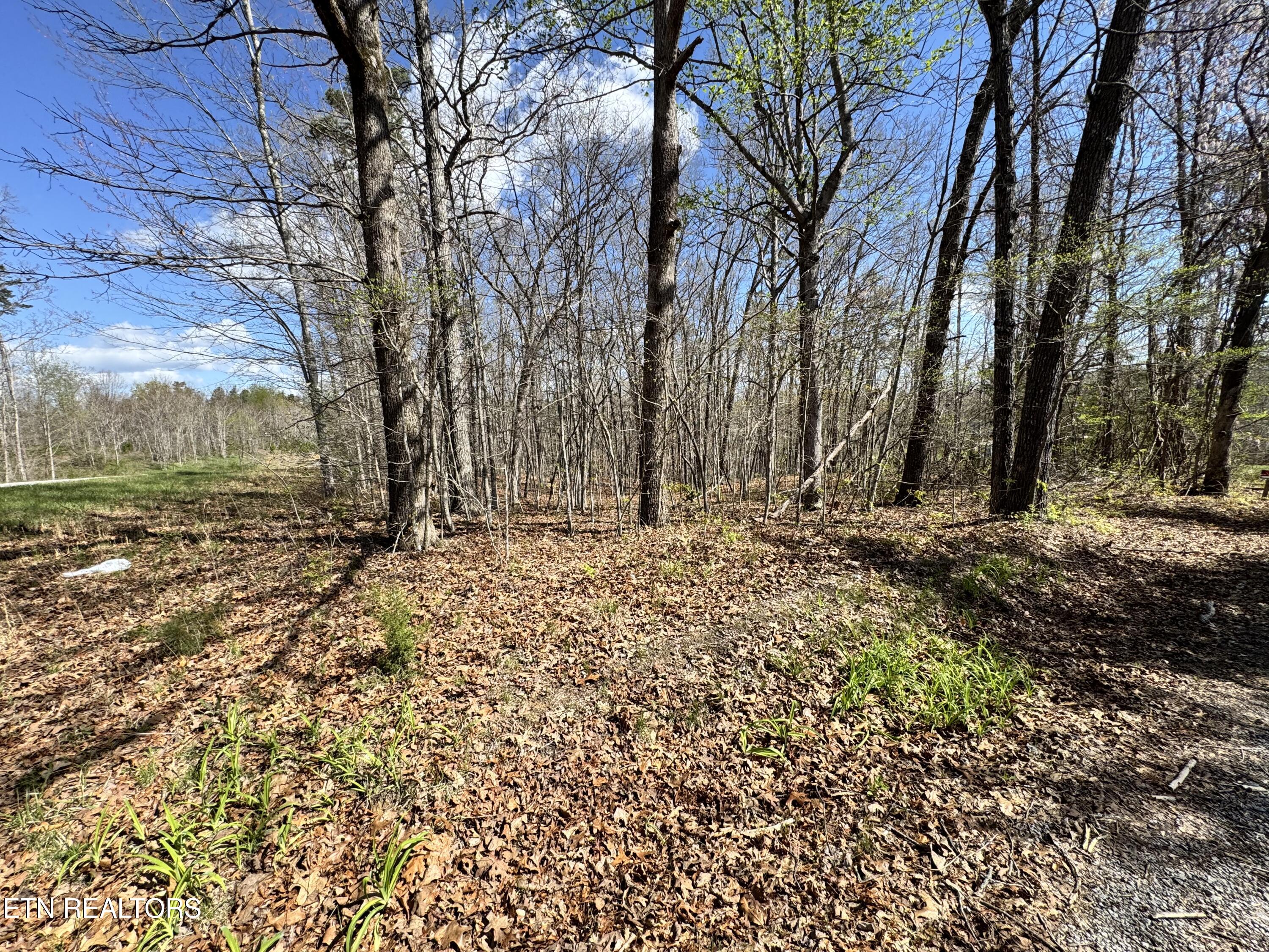 Smith Hall Road Jamestown, TN 38556 - Photo 4 of 7 IMG_3159