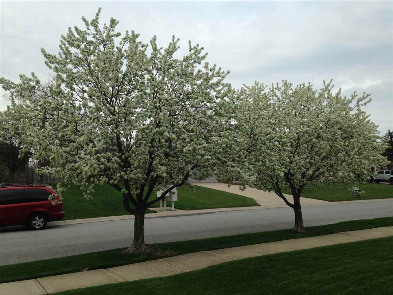 9409 White Shell Drive Fort Wayne, IN 46804 - Photo 19 of 35 Gallery Image 19