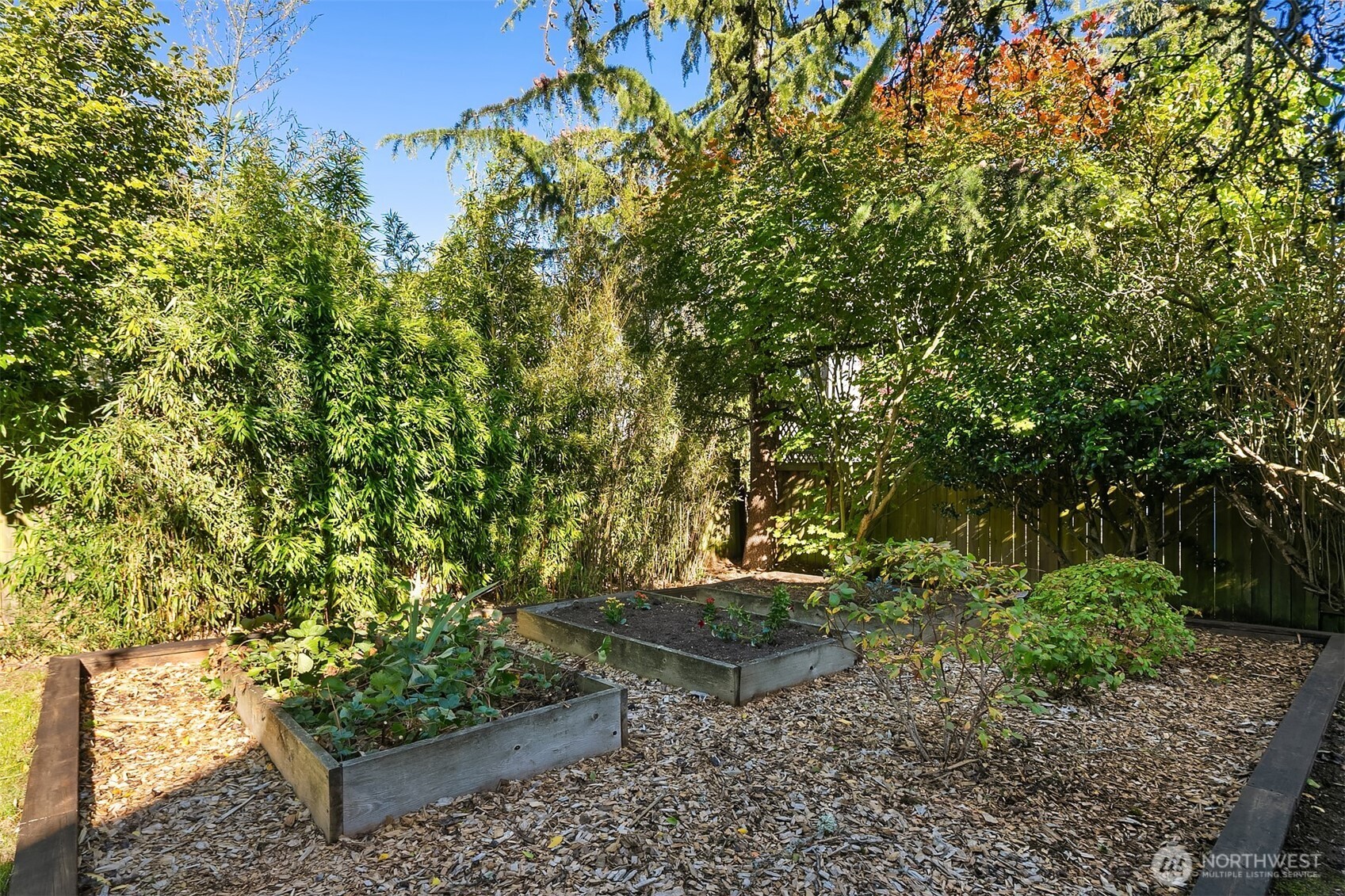902 North 93rd Street Seattle, WA 98103 - Photo 31 of 34 a backyard of a house with lots of green space