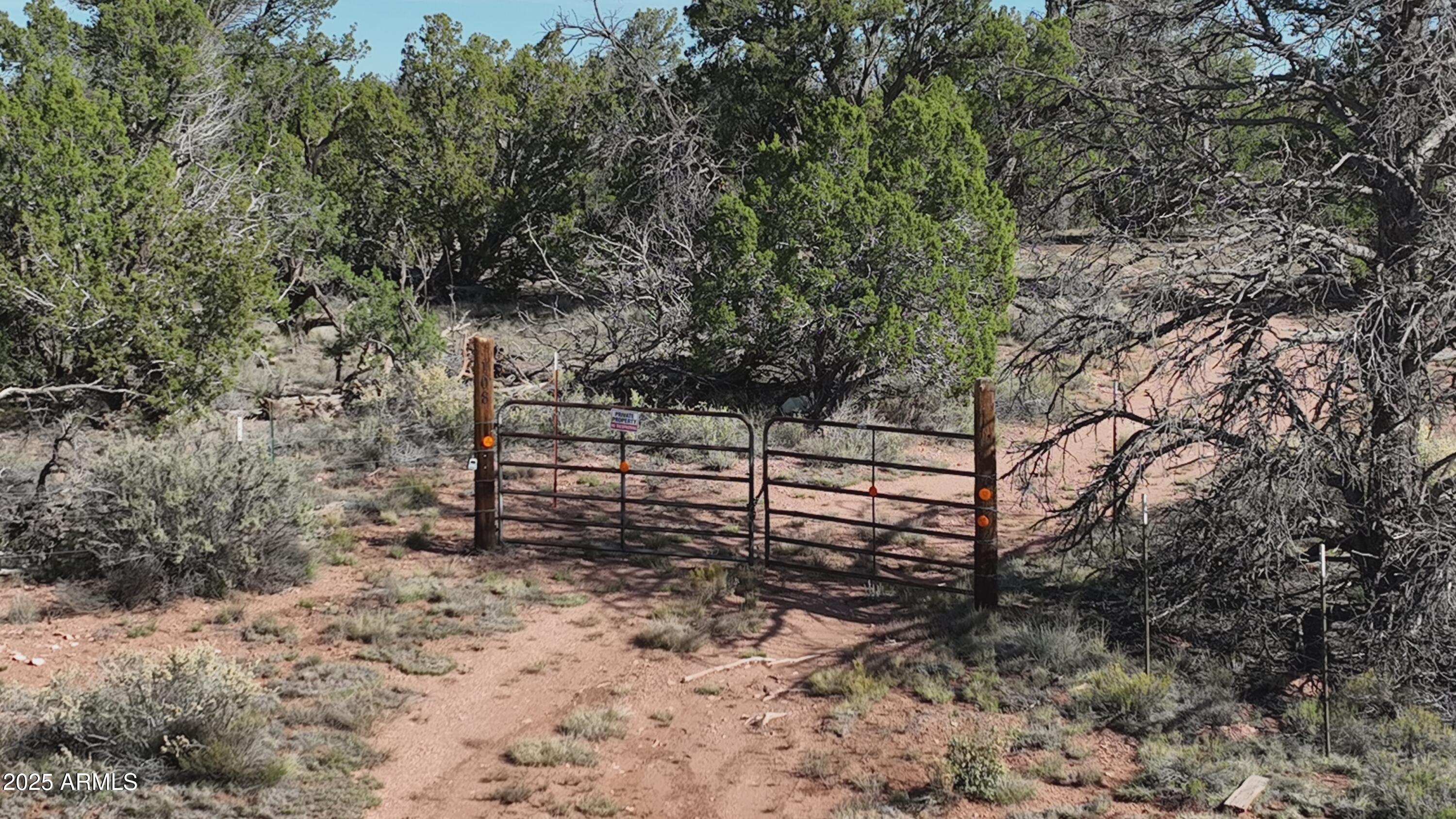 5823 Cattle Guard Road Williams, AZ 86046 - Photo 7 of 48 a view of a yard with large trees