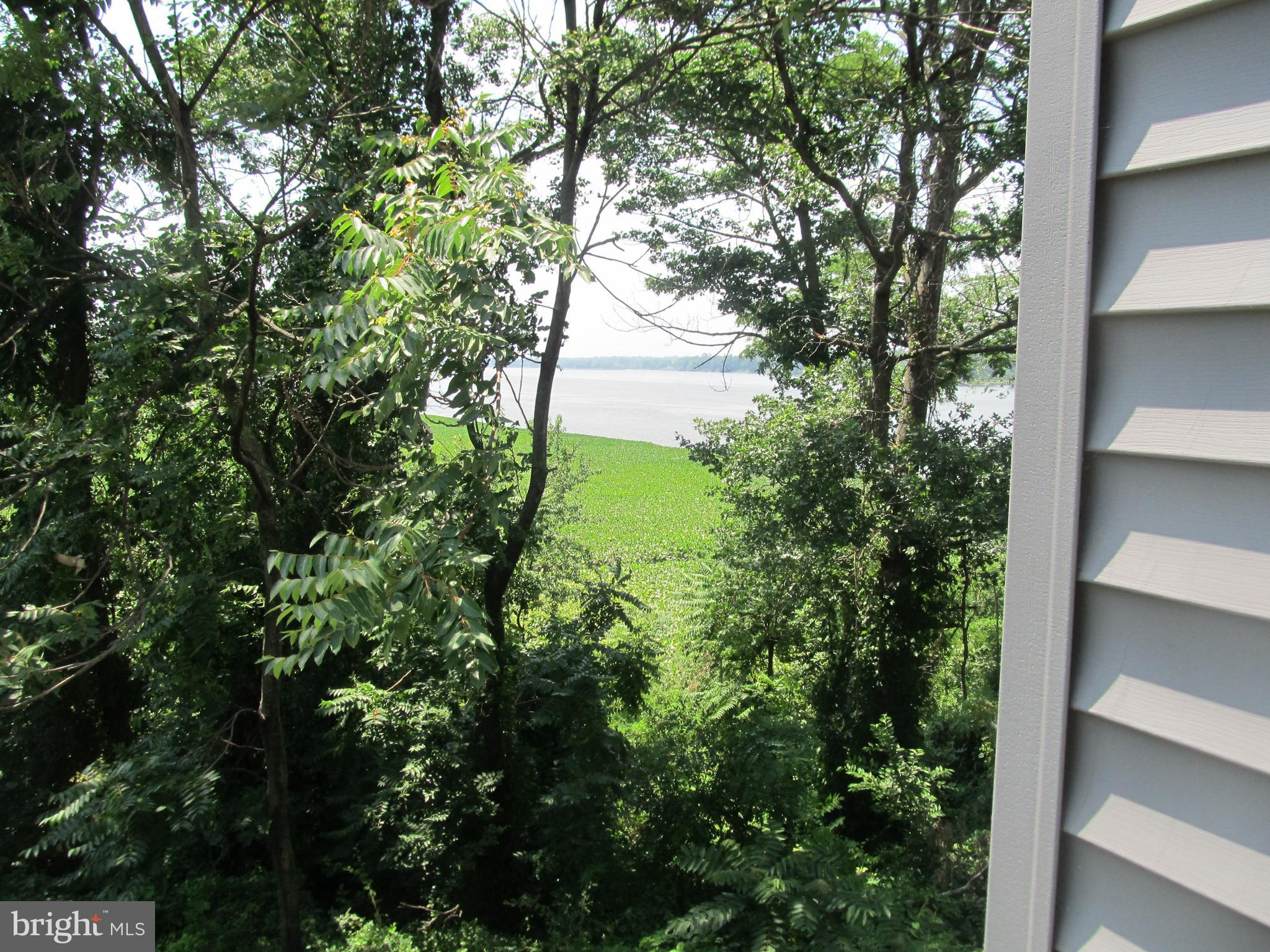 36 River Lane Delanco, NJ 08075 - Photo 30 of 57