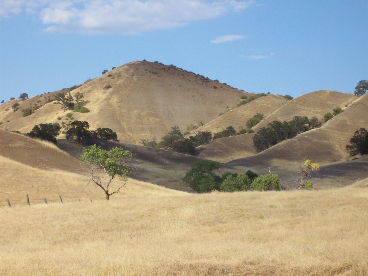 Newville Road Orland, CA 95963 - Photo 1 of 10 85.9 Acres
