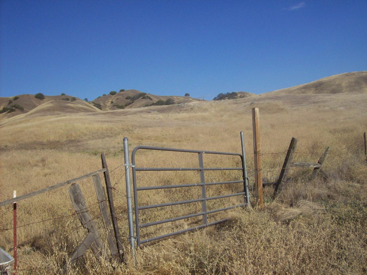 Newville Road Orland, CA 95963 - Photo 2 of 10 Fully Fenced & X-Fenced