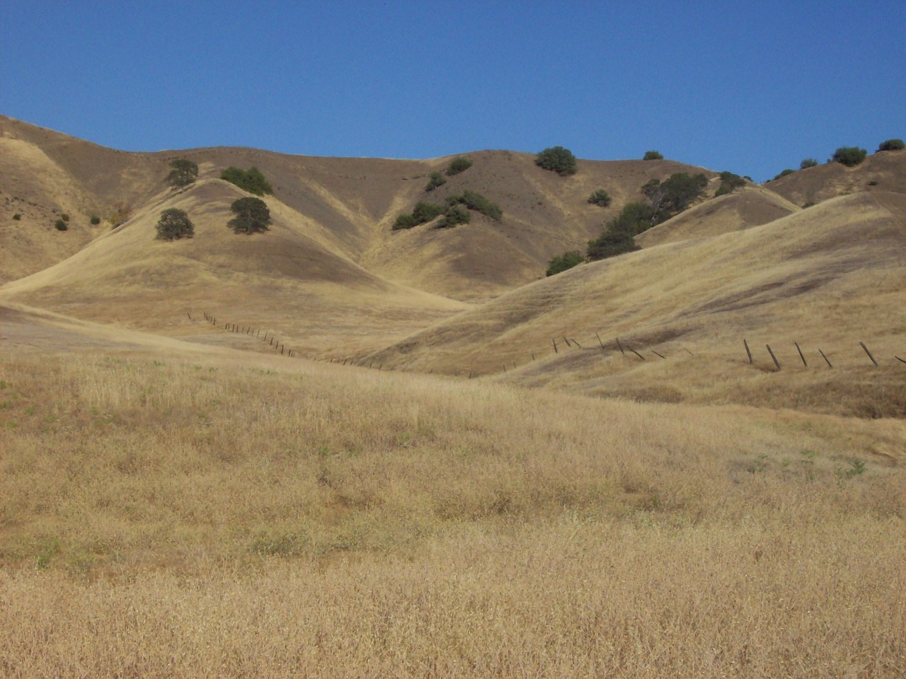 Newville Road Orland, CA 95963 - Photo 4 of 10 Ride Horses in Rolling Hills