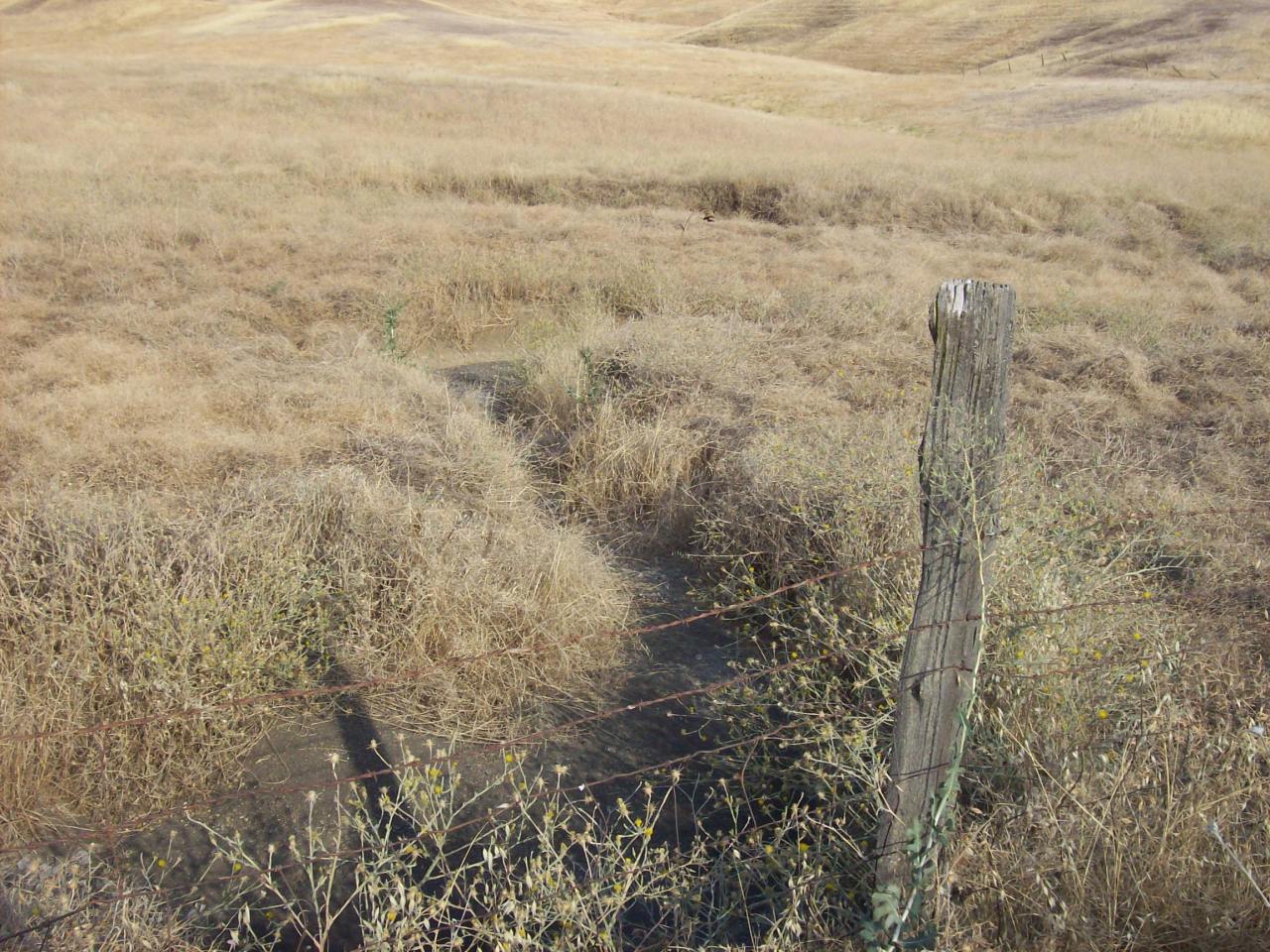 Newville Road Orland, CA 95963 - Photo 6 of 10 Seasonal Creek