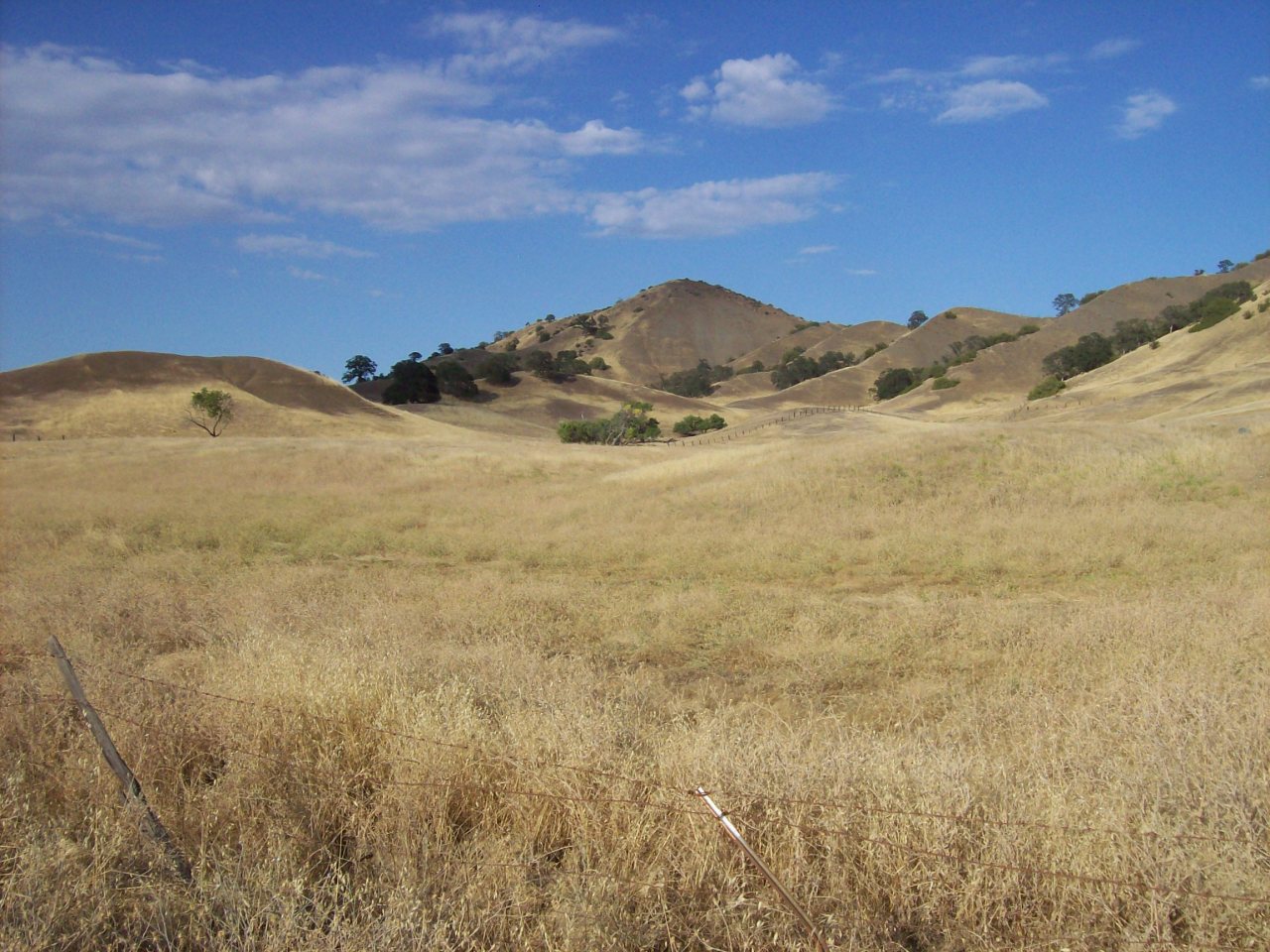 Newville Road Orland, CA 95963 - Photo 8 of 10 Build your Dream Home