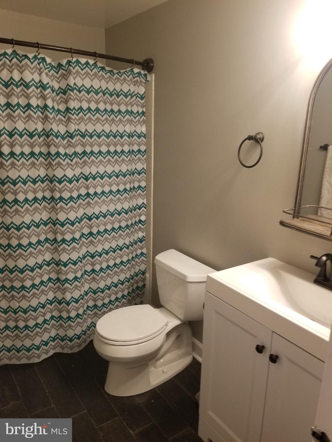 2229 Double Eagle Court Reston, VA 20191 - Photo 17 of 30 Lower Level Full Bath