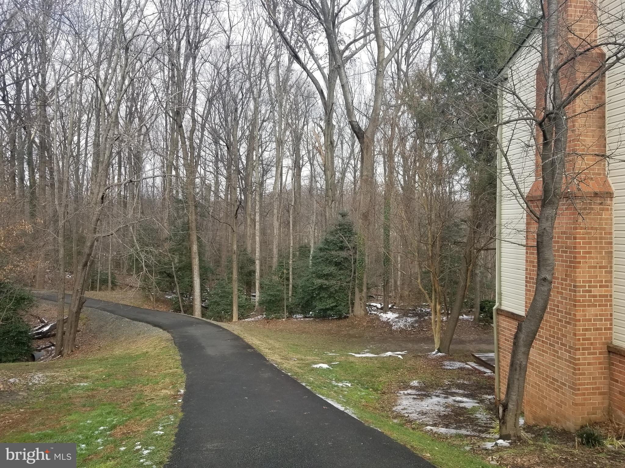 2229 Double Eagle Court Reston, VA 20191 - Photo 26 of 30 Walking path beside home