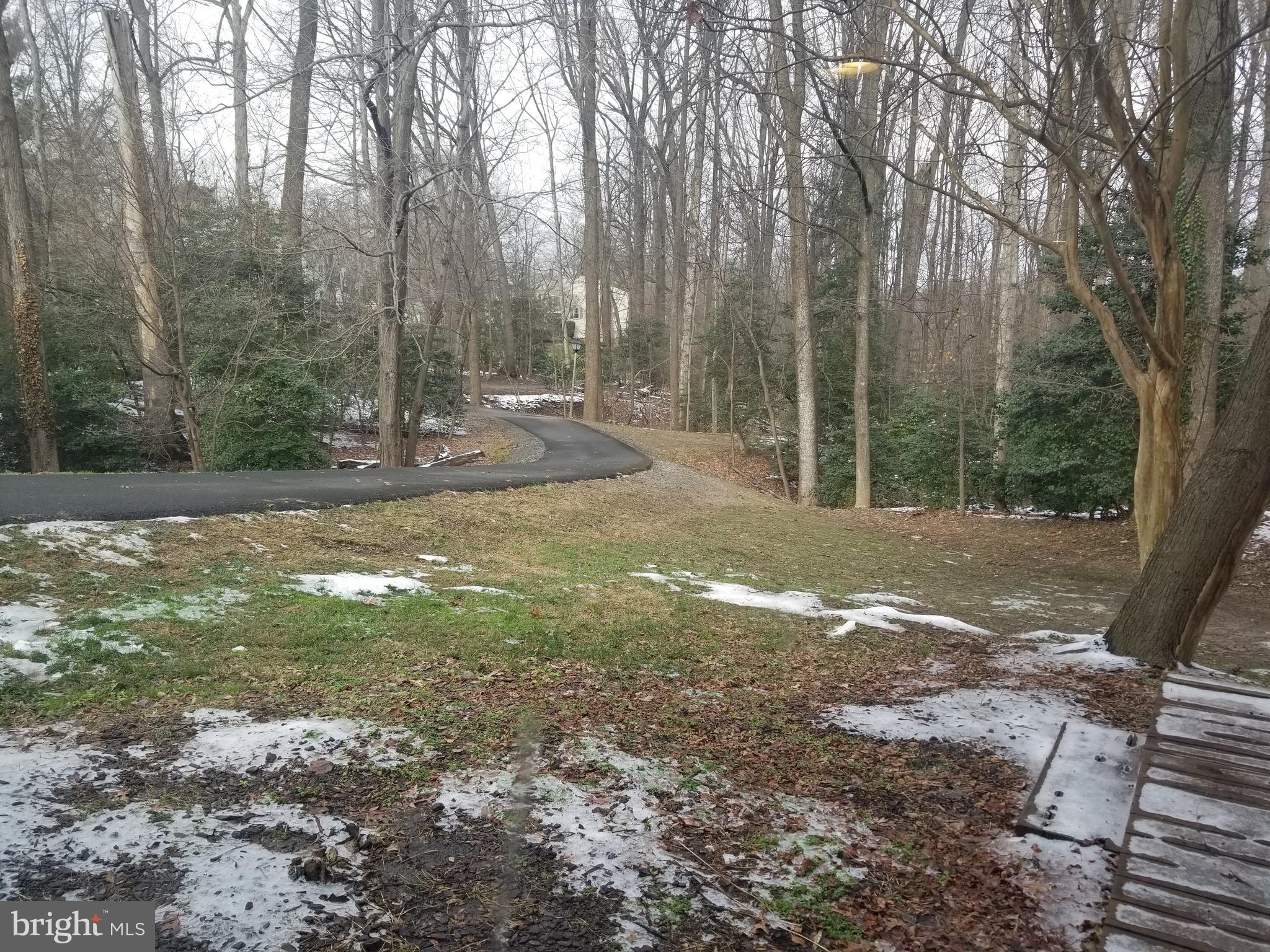 2229 Double Eagle Court Reston, VA 20191 - Photo 27 of 30 View from Rear of home