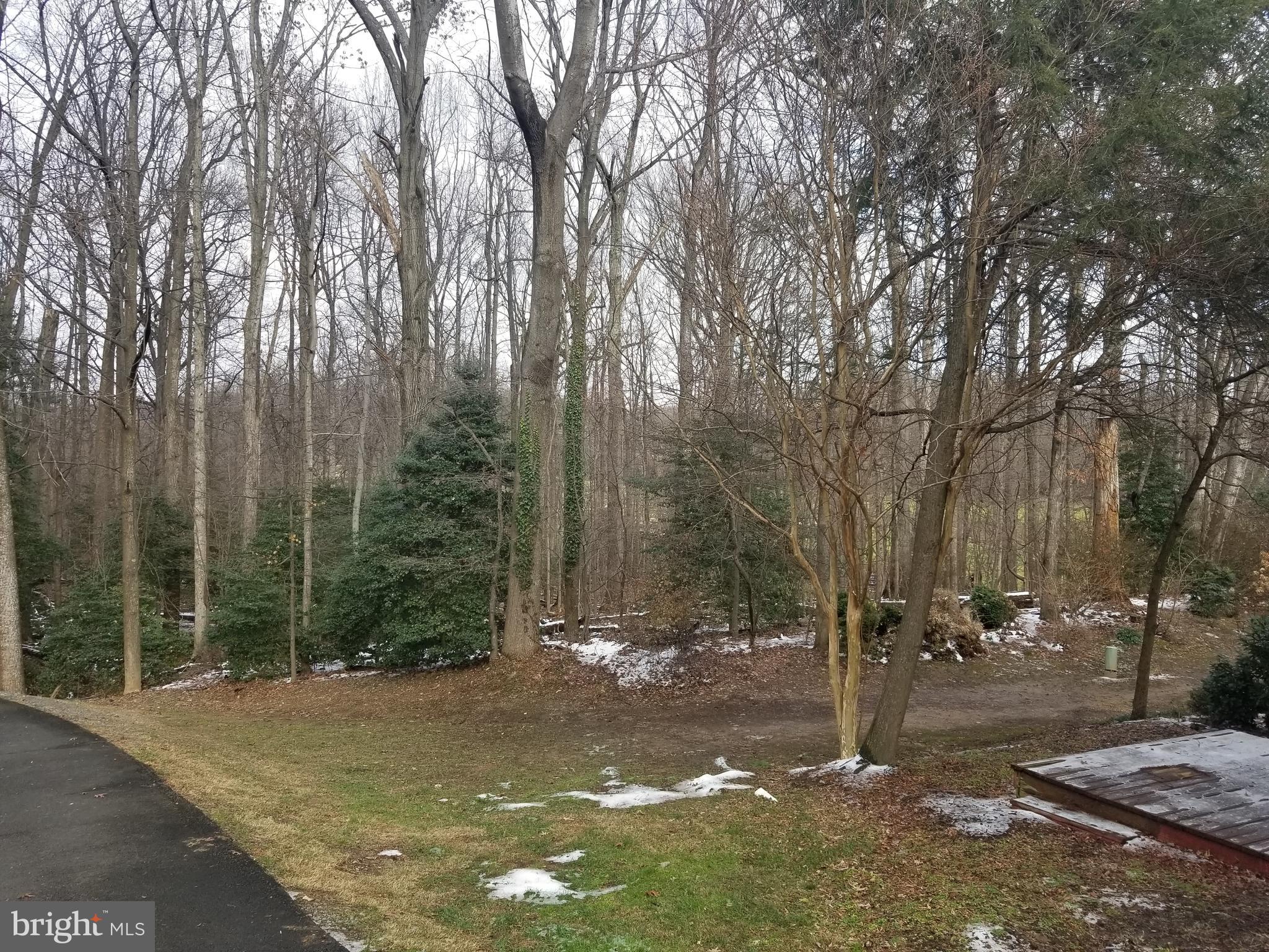 2229 Double Eagle Court Reston, VA 20191 - Photo 29 of 30 Winter view of the golf course through the trees