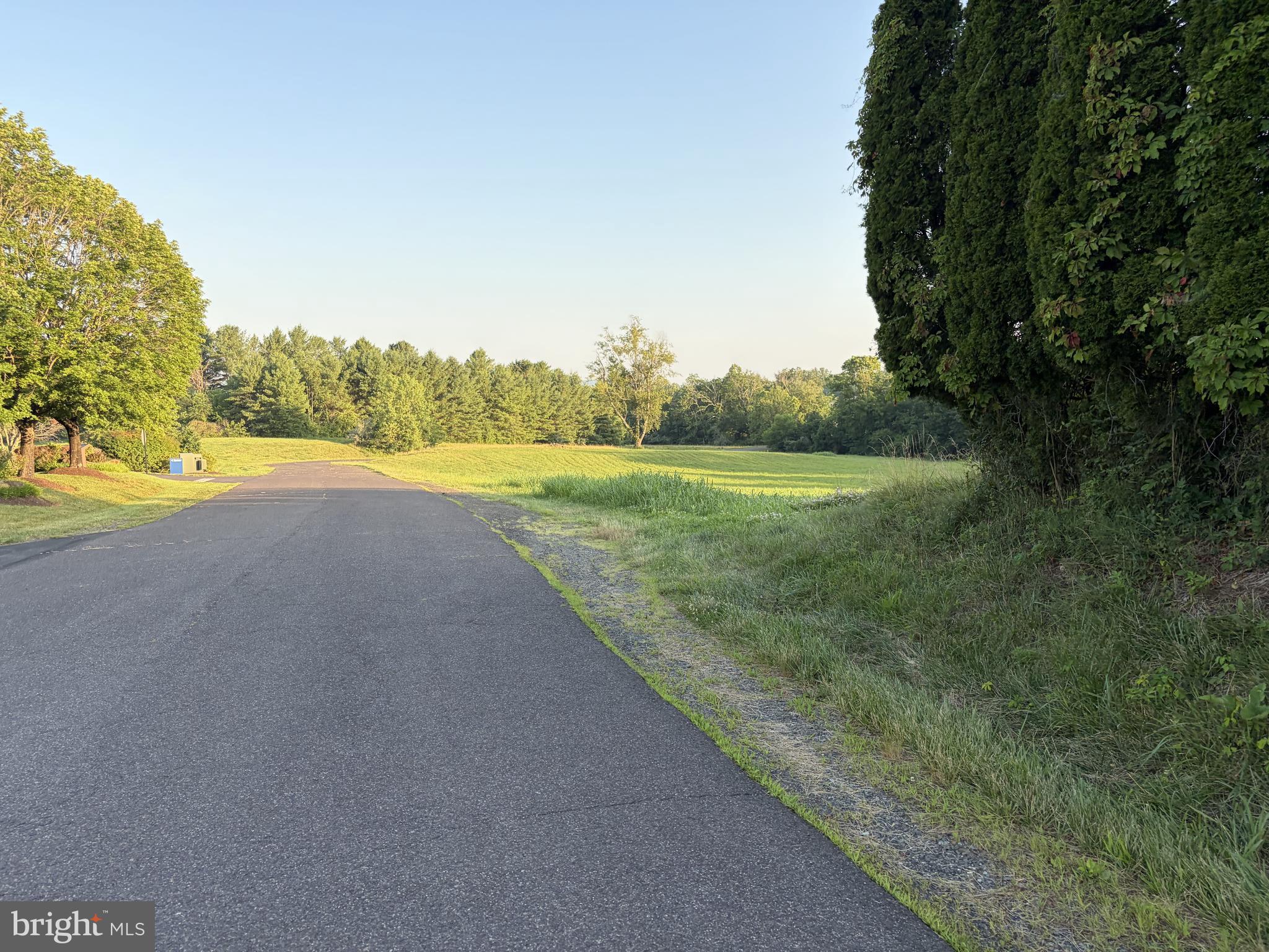 Bank Road Washington, VA 22747 - Photo 13 of 13 property straight ahead