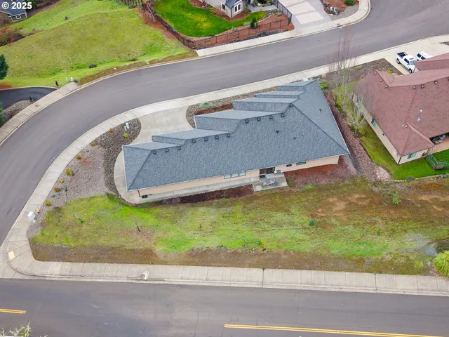 an aerial view of a house with a yard and potted plants