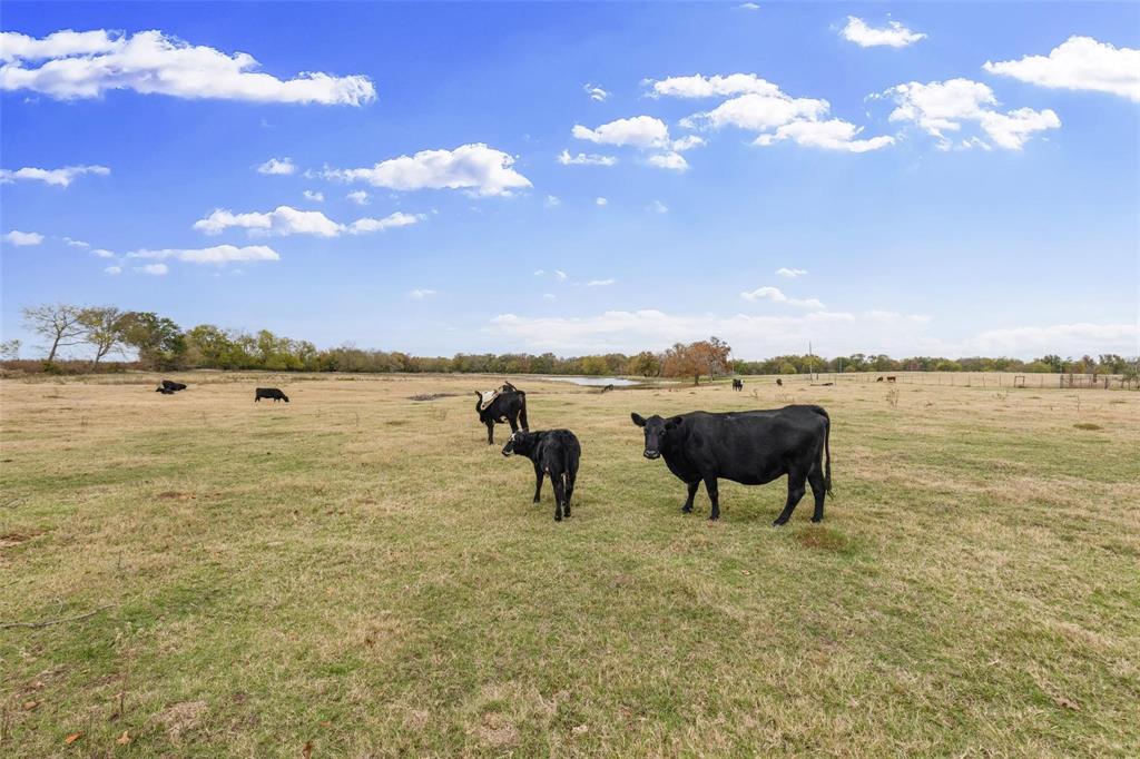 1436 County Road 2320, Unit 2 Como, TX 75431 - Photo 7 of 18 a view of a lake with outdoor space