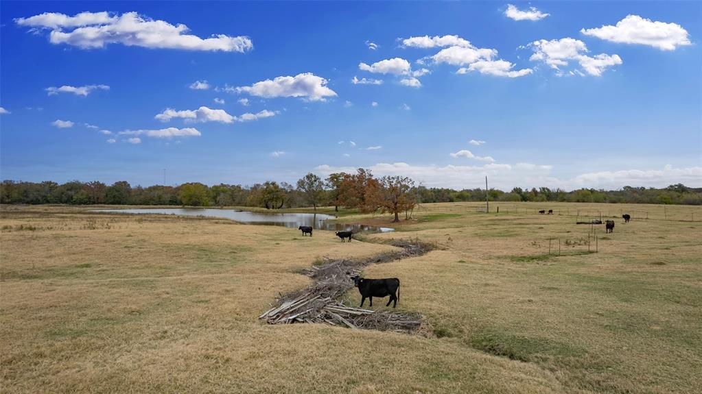 1436 County Road 2320, Unit 2 Como, TX 75431 - Photo 9 of 18 a view of a lake with outdoor space