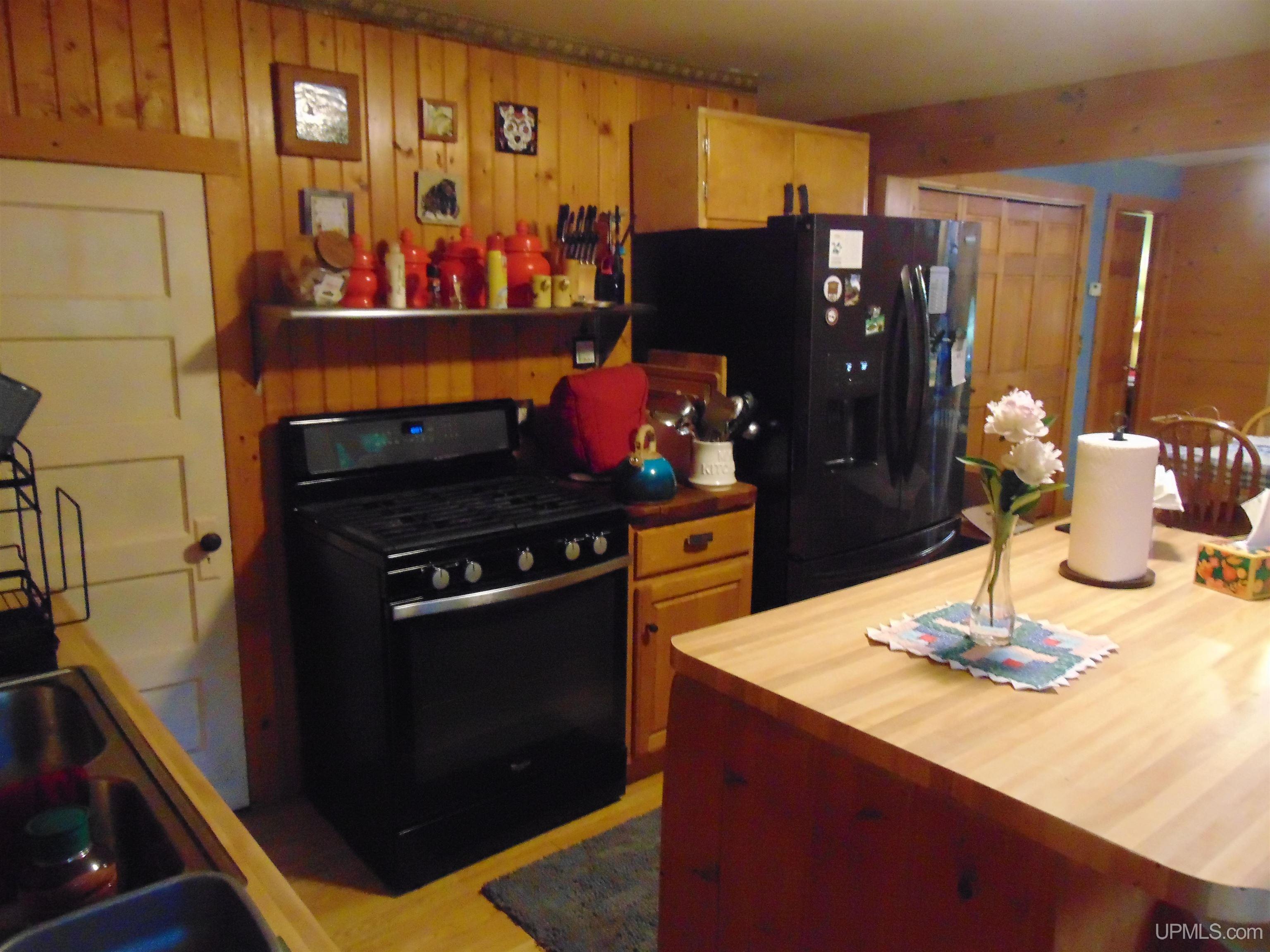 7124 1 Mile Road Trout Creek, MI 49967 - Photo 9 of 66
