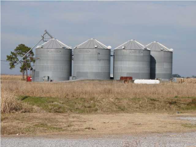 South Ellis Bridge Road Gueydan, LA 70542 - Photo 6 of 7 Additional Photo