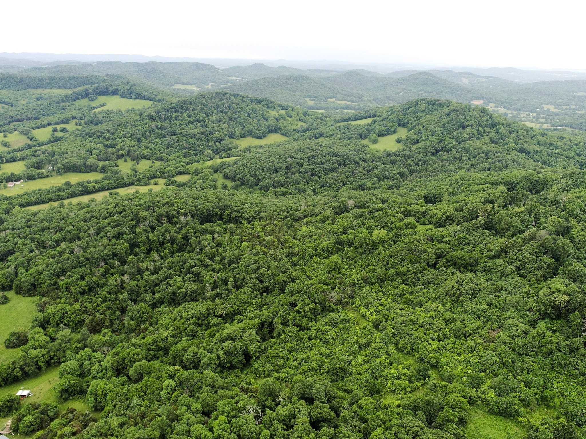 0 Hogan's Creek Road Carthage, TN 37030 - Photo 6 of 12 Gallery Image 6