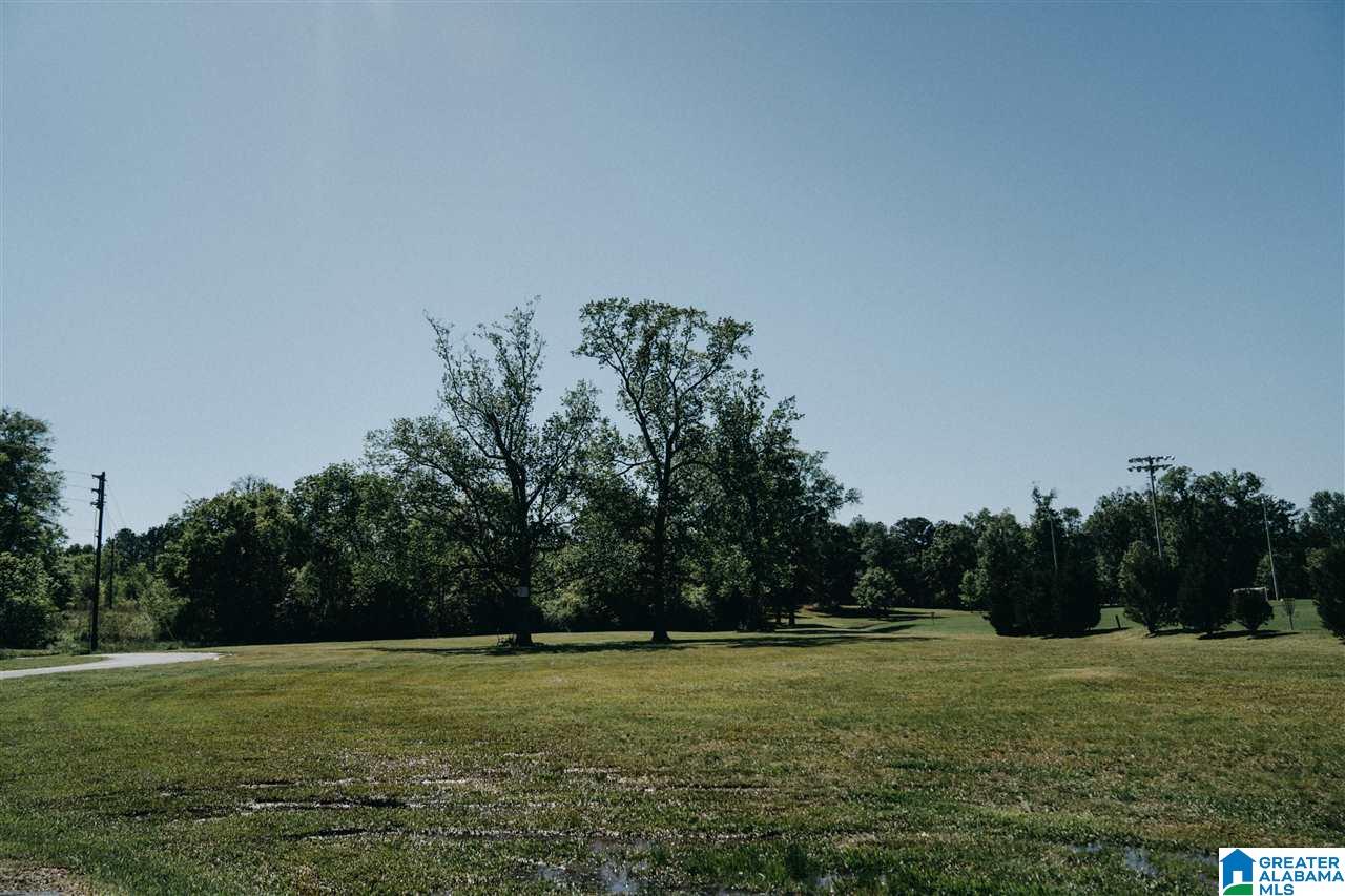 0 D Street Jacksonville, AL 36265 - Photo 13 of 23