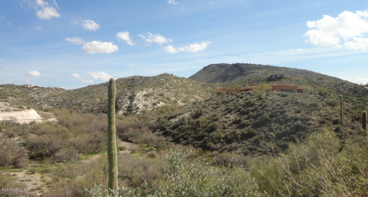 40103 Brangus Road, Unit 2 Scottsdale, AZ 85262 - Photo 3 of 7 View looking East from Brangus Road