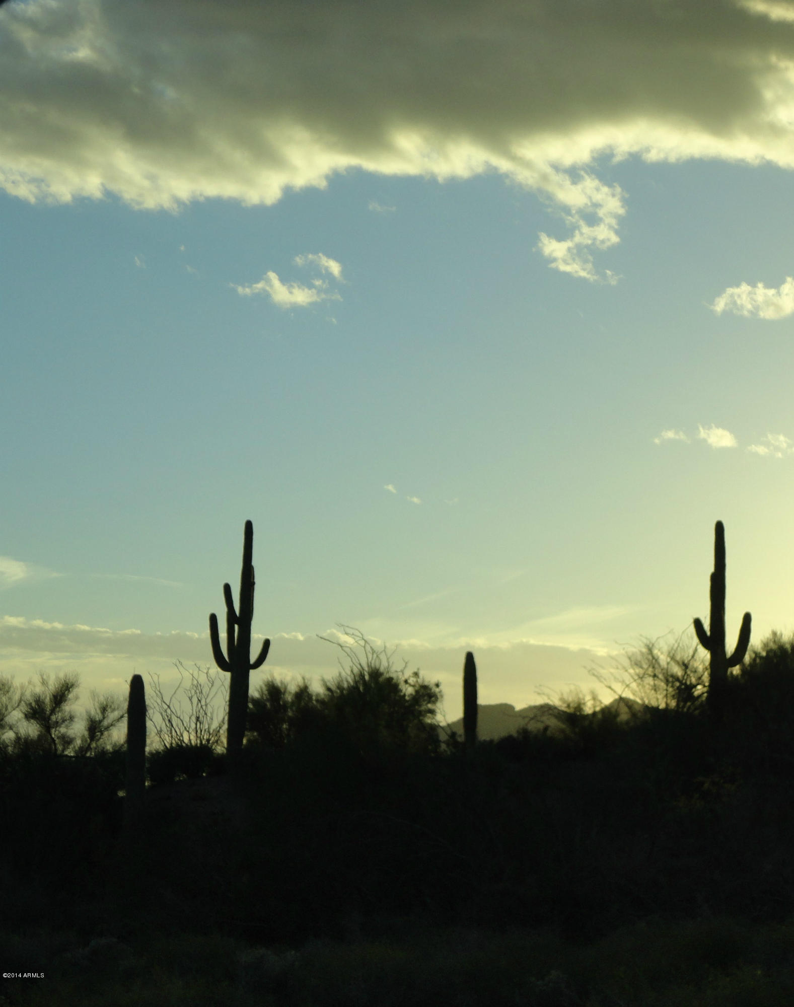 40103 Brangus Road, Unit 2 Scottsdale, AZ 85262 - Photo 6 of 7 Saguaro silhouette at dusk