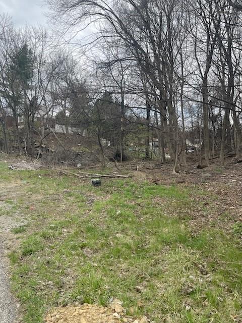 0 Spring Street West Mifflin, PA 15122 - Photo 2 of 2 a fire hydrant in the middle of a field