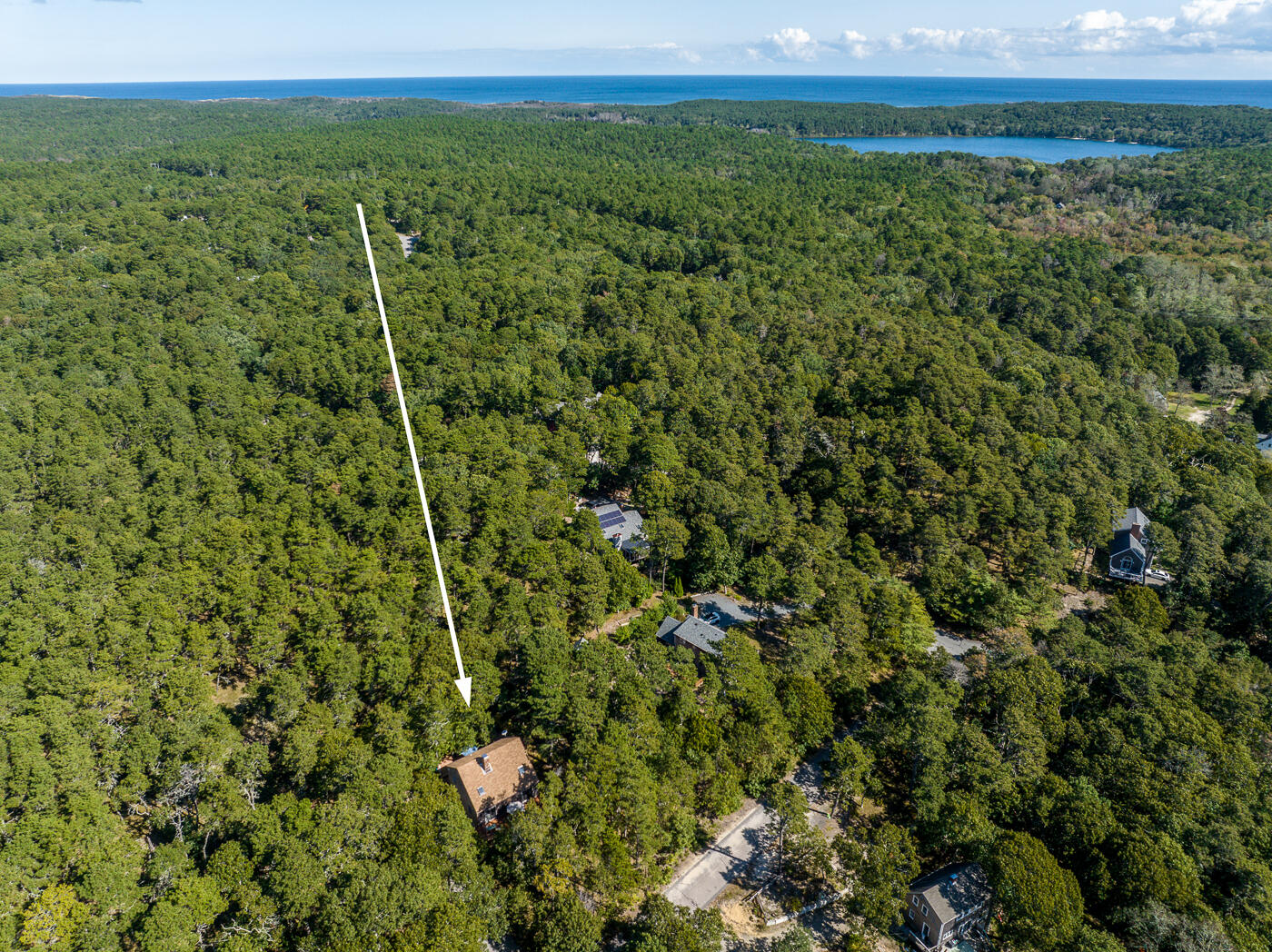 120 Chris Drive Wellfleet, MA 02667 - Photo 3 of 45 a view of a forest with a houses